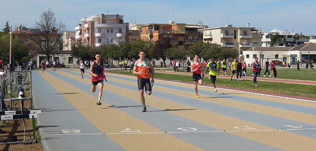 Campionati Assoluti: si va in finale Bronzo